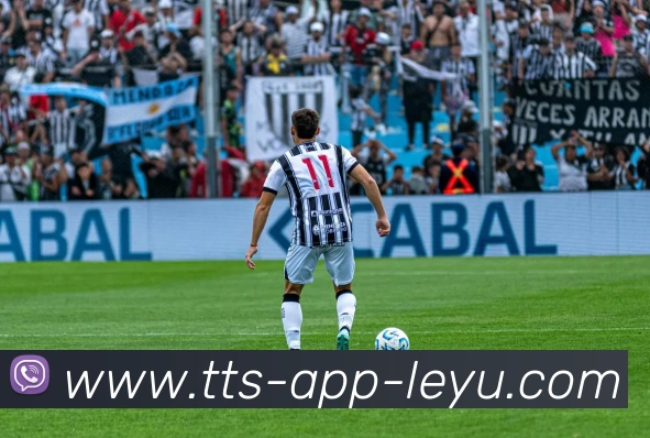 乐鱼官网发展历程